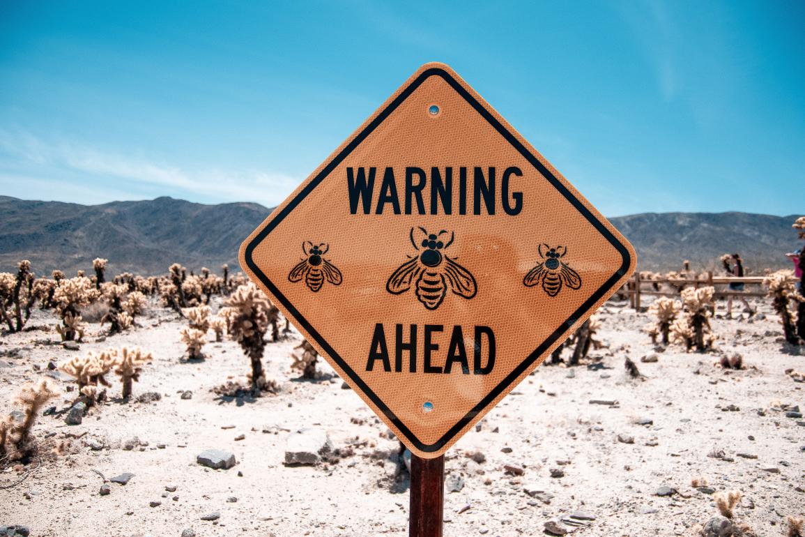 Yellow sign in dessert that says "Warning Ahead" with images of bees.